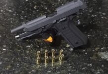 PRF prende indivíduo com arma de fogo na BR-116