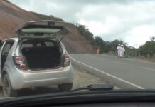 Duas pessoas ficam feridas após ataque de abelhas na MG-329, em Bom Jesus do Galho