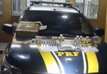 PRF apreende medicamentos proibidos para emagrecimento em ônibus na BR-116, em Manhuaçu