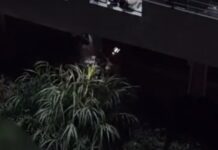 Imagens aéreas mostram resgate de corpo encontrado em rio de Inhapim