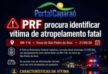 Vítima de atropelamento não foi identificada