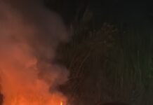 Camaro avaliado em R$ 300 mil é destruído por incêndio em Timóteo