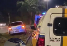 Motorista perde o controle da direção e bate em palmeira na BR-381, em Ipatinga