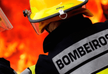 Idoso morre carbonizado ao tentar combater incêndio em sítio na zona rural de Santana do Paraíso