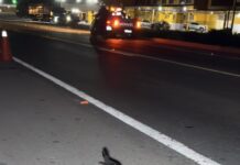 CICLISTA É ATROPELADO NA BR-116, EM INHAPIM